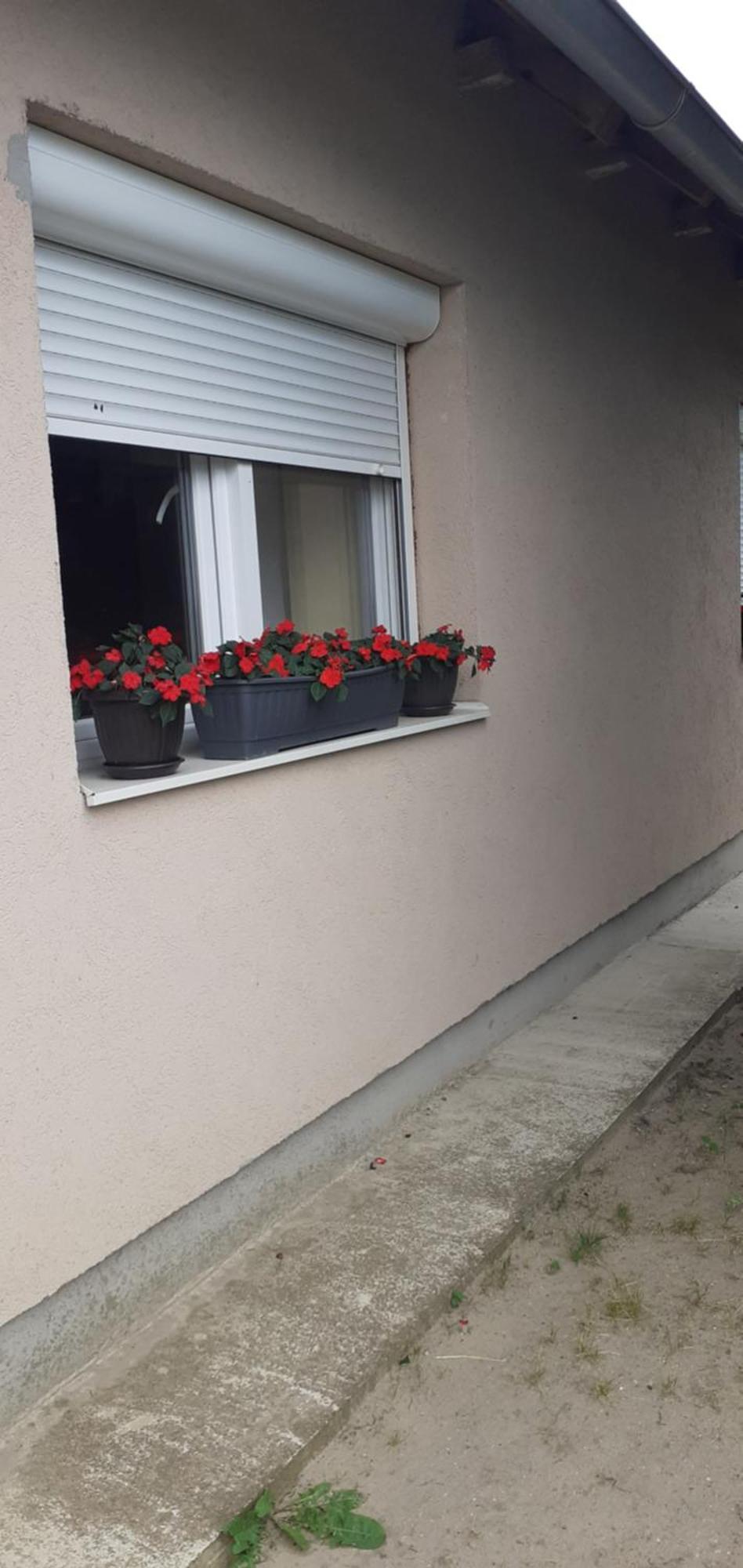 Sobe Masa Vendégház Szabadka Kültér fotó