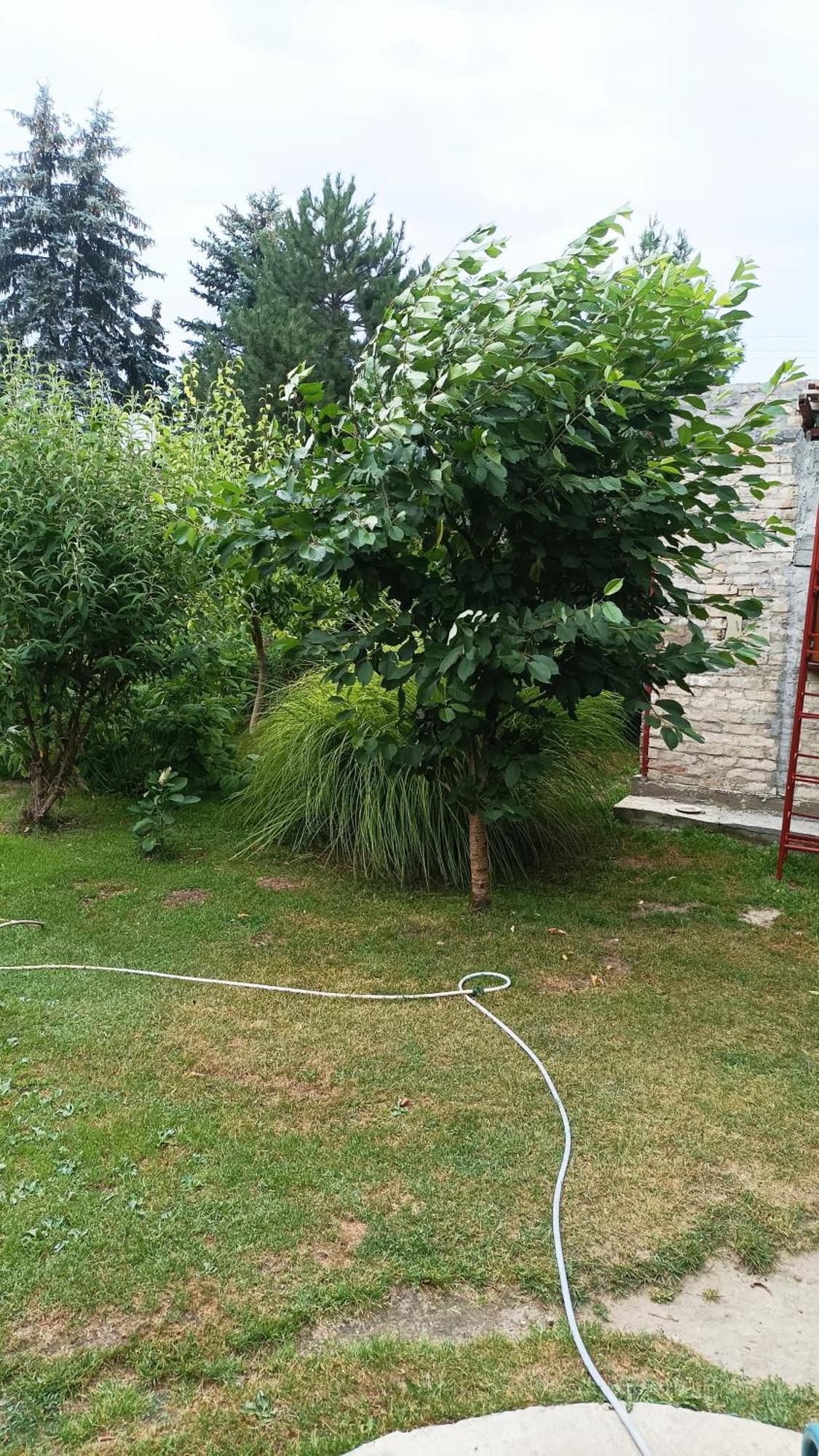 Sobe Masa Vendégház Szabadka Kültér fotó
